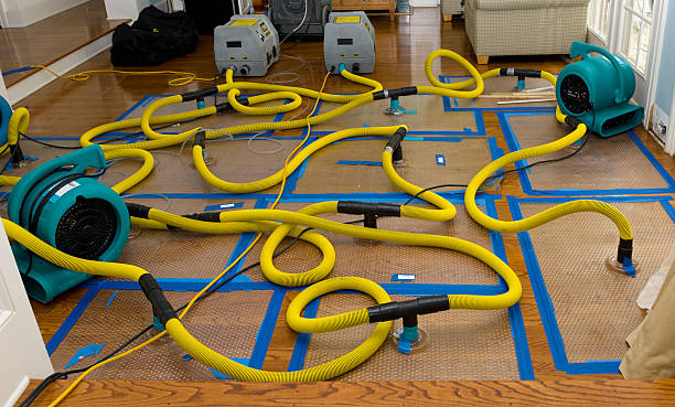 Professional Water Damage Repair technician working in Church Hill, PA